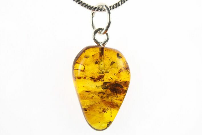 Polished Baltic Amber Pendant (Necklace) - Contains Flies & Mite! #275810